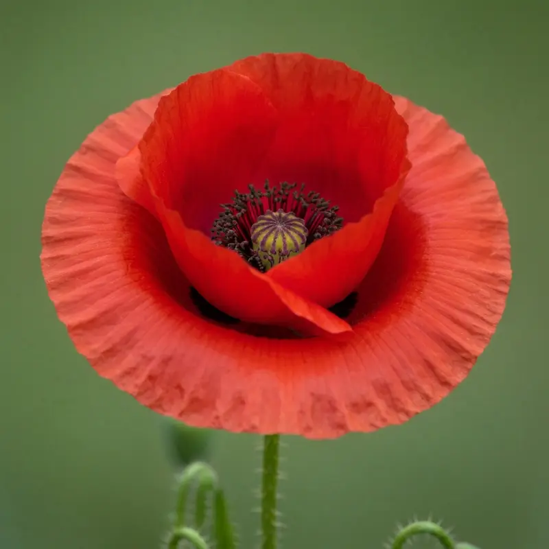 מוצרי טיפוח סרום וקרם לשגרת ערב
